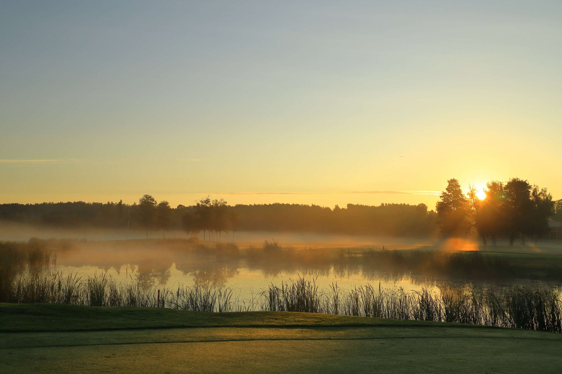 MicrosoftTeams-image (9)