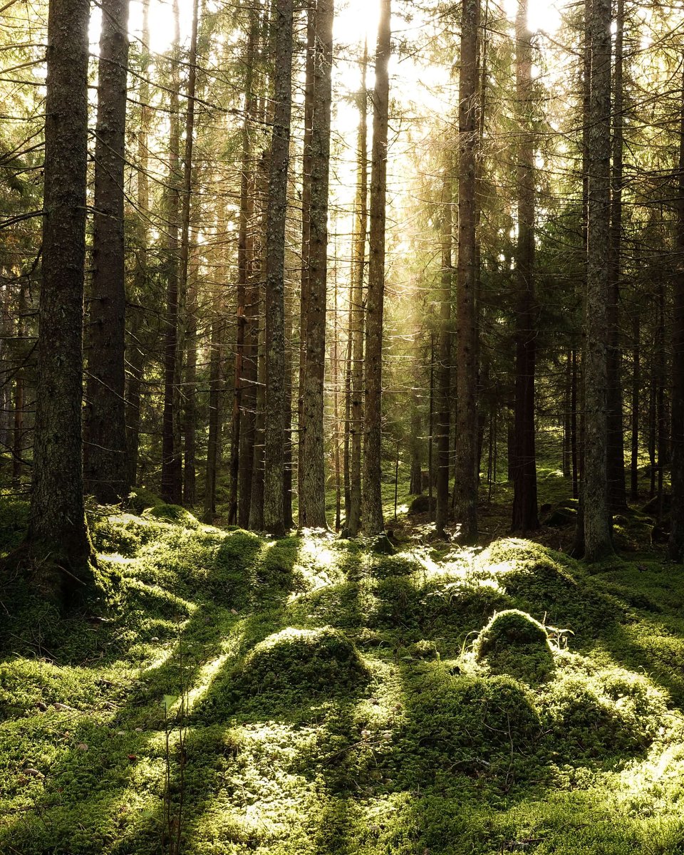 shutterstock_1201013188