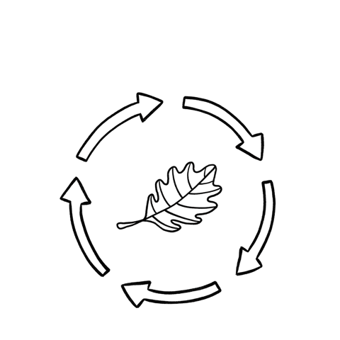 illustration_sektion_04