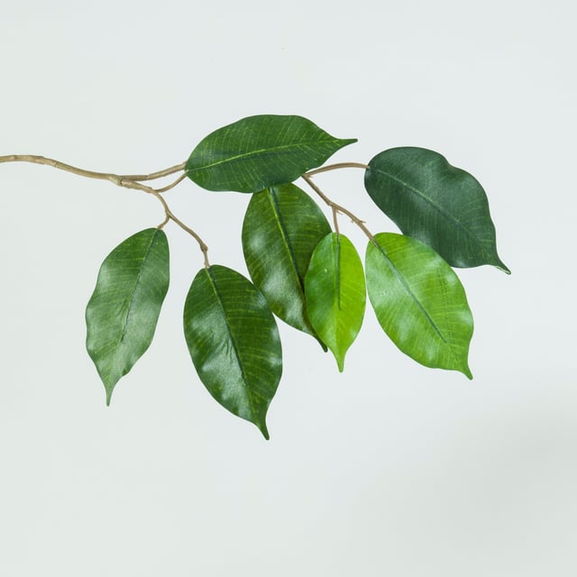 solskydd_klart_2597-2