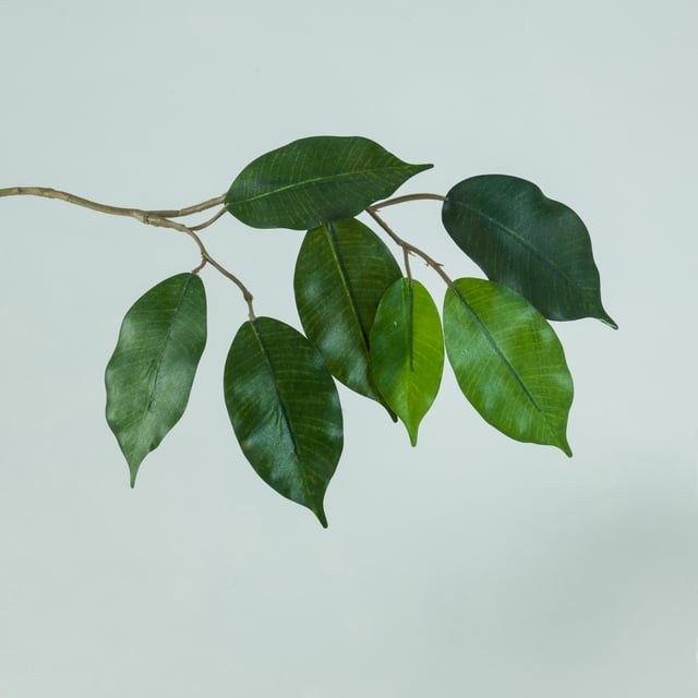 solskydd_tonat_2598-3